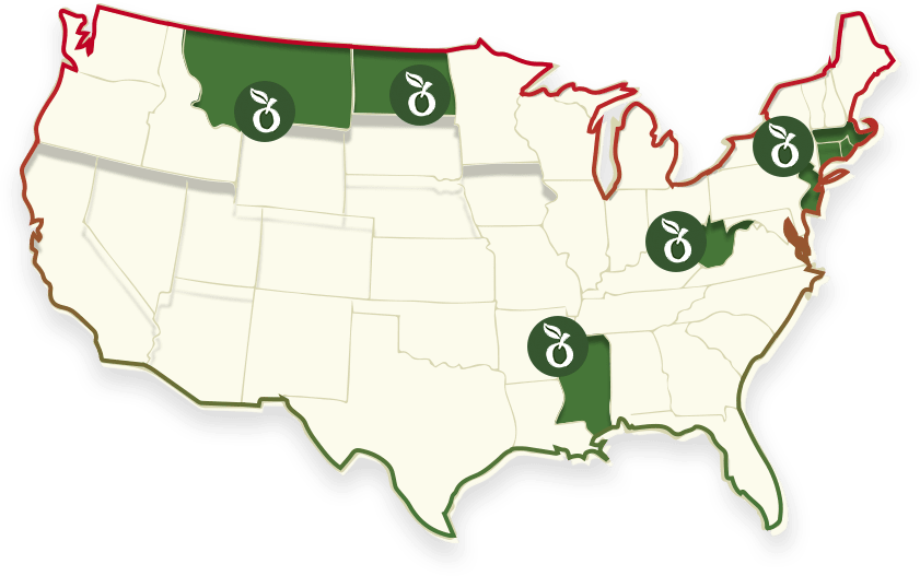 Get Nutrissimo Dried Mango at